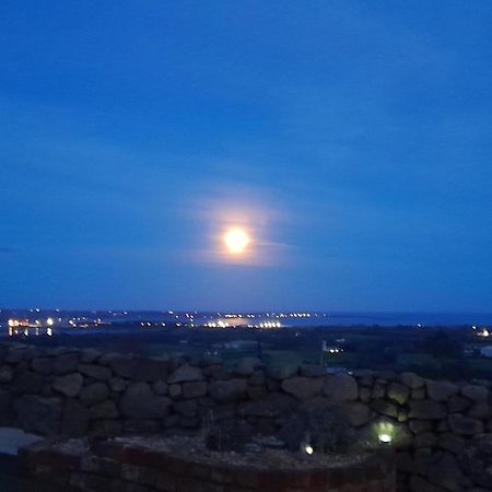 Fairy Cove At Rosemount Glamping Carlingford Exterior foto