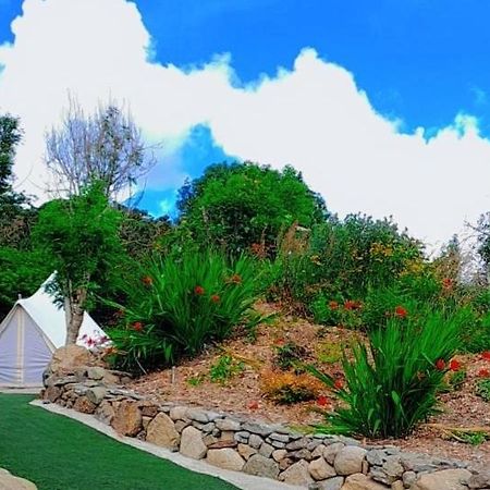 Fairy Cove At Rosemount Glamping Carlingford Exterior foto