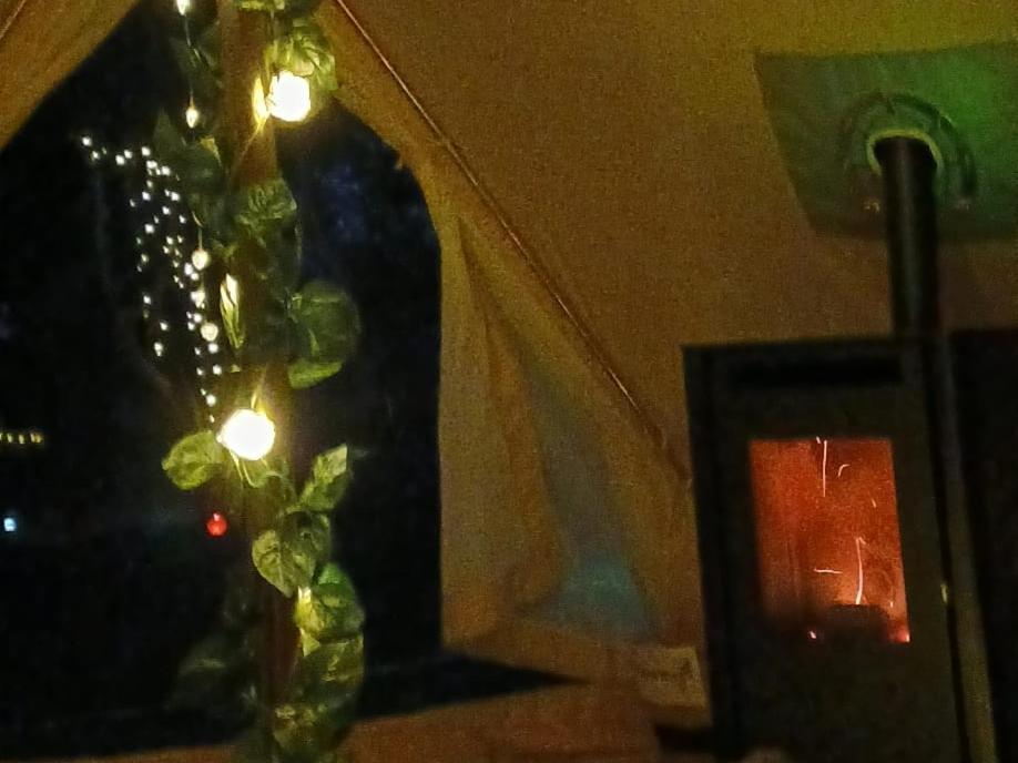 Fairy Cove At Rosemount Glamping Carlingford Exterior foto