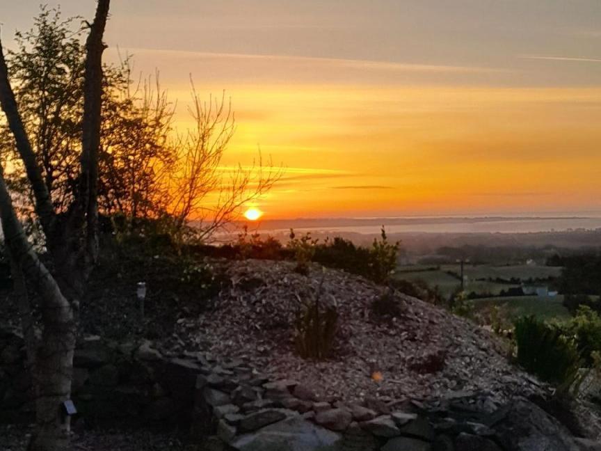 Fairy Cove At Rosemount Glamping Carlingford Exterior foto