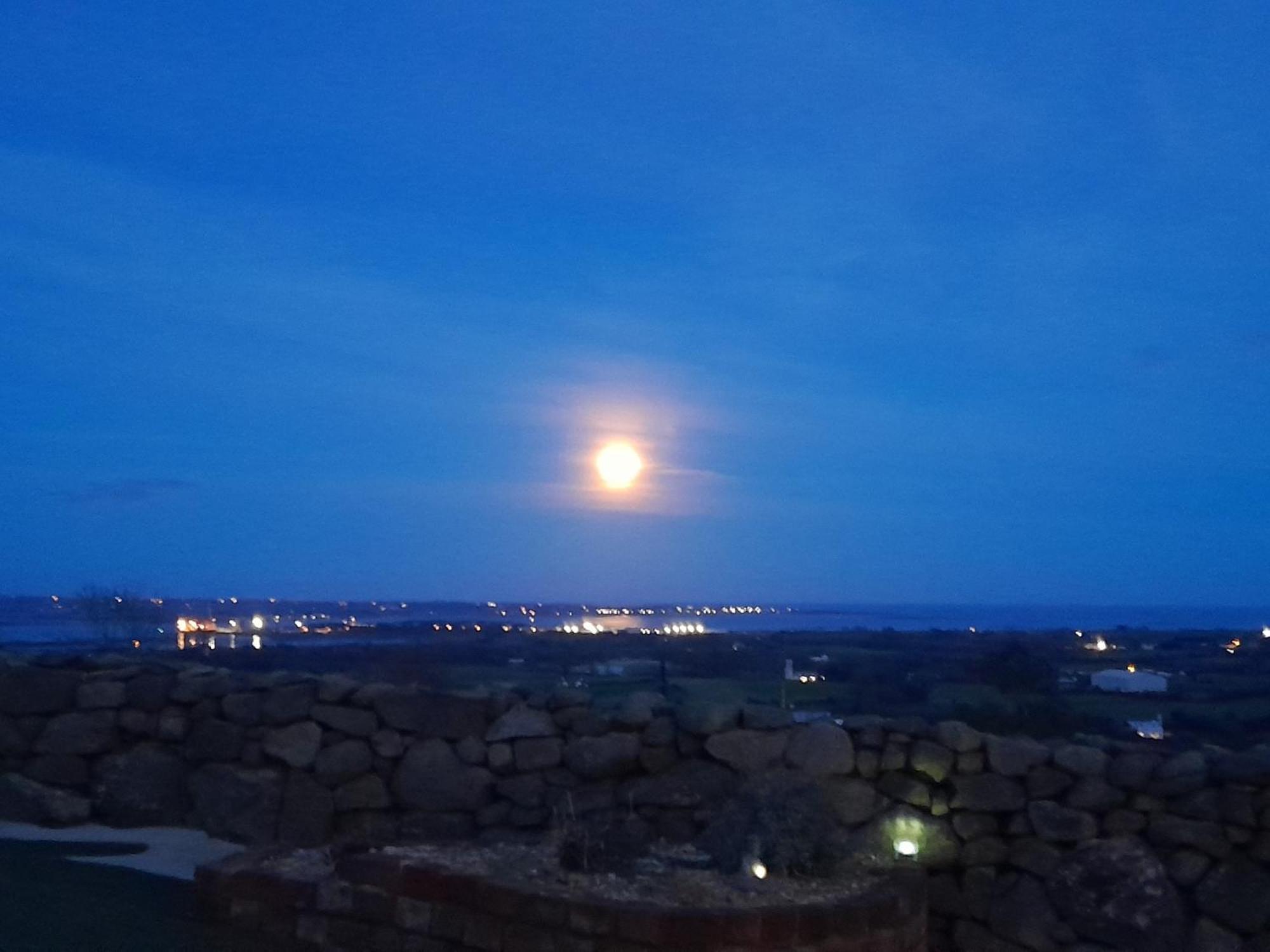 Fairy Cove At Rosemount Glamping Carlingford Exterior foto